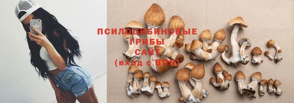гашик Беломорск