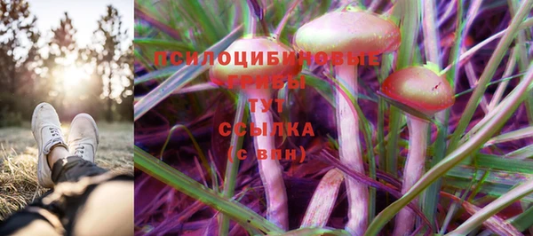 кристаллы Белокуриха