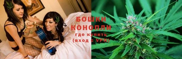 гашик Беломорск