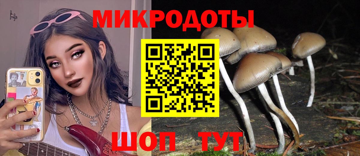 Гулькевичи  Галлюциногенные грибы мицелий  Вход с VPN 