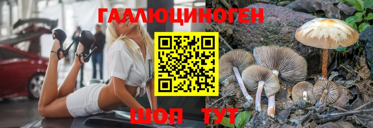 Галлюциногенные грибы GOLDEN TEACHER Гулькевичи
